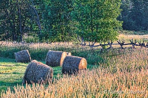 Sunrise Bales_27453.jpg - Photographed near Smiths Falls, Ontario, Canada.